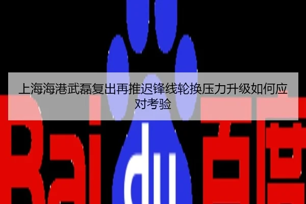 上海海港武磊复出再推迟锋线轮换压力升级如何应对考验