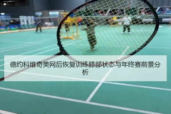 德约科维奇美网后恢复训练膝部状态与年终赛前景分析